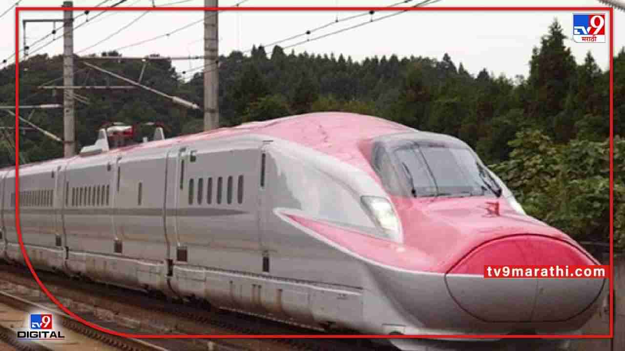 Bullet Train : मुंबई-अहमदाबाद बुलेट ट्रेनच्या मार्गातील 1394 झाडे मुळासकट उपटणार, पालिकेकडे मागितली परवानगी