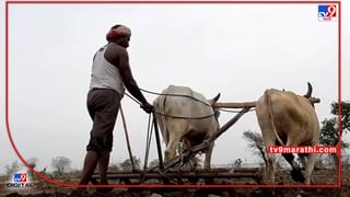 Puntamba : शेतकऱ्यांच्या धरणे आंदोलनात मोफत फळांचे वाटप, पुणतांब्यात नेमके चित्र काय ?