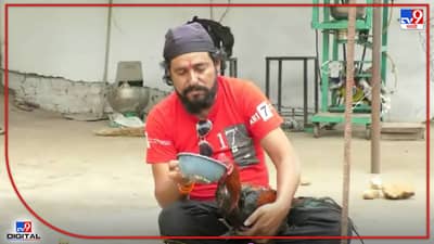 Alcohol Dinker Cock : दारूडा कोंबडा, रम, व्हिस्की, बिअर, वोडका याला सगळं चालतंय, हा तर दारूशिवाय पाणीच पित नाही