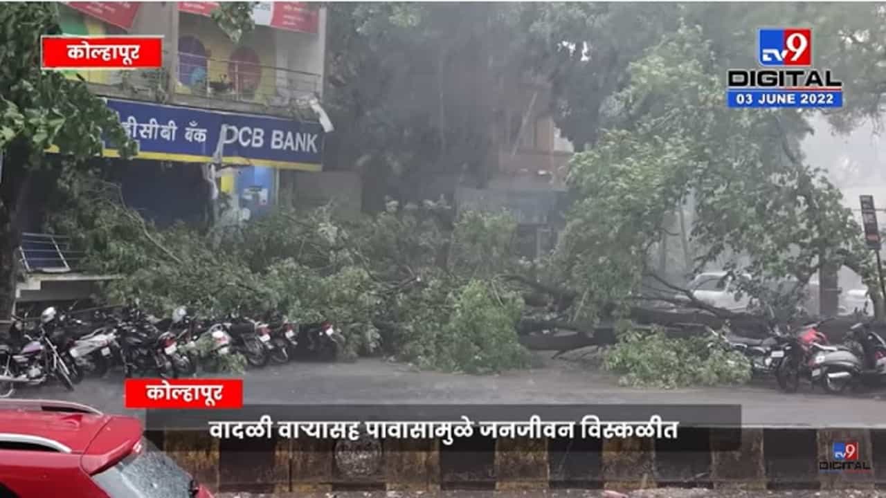 कोल्हापूरात पावसाची जोरदार हजेरी कोल्हापूरात पावसाची जोरदार हजेरी
