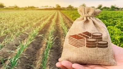 Crop Insurance : उच्च न्यायालयाच्या आदेशानंतरही विम्यासाठी फरफट सुरुच, बळीराजाची आता स्वाक्षरी मोहिम