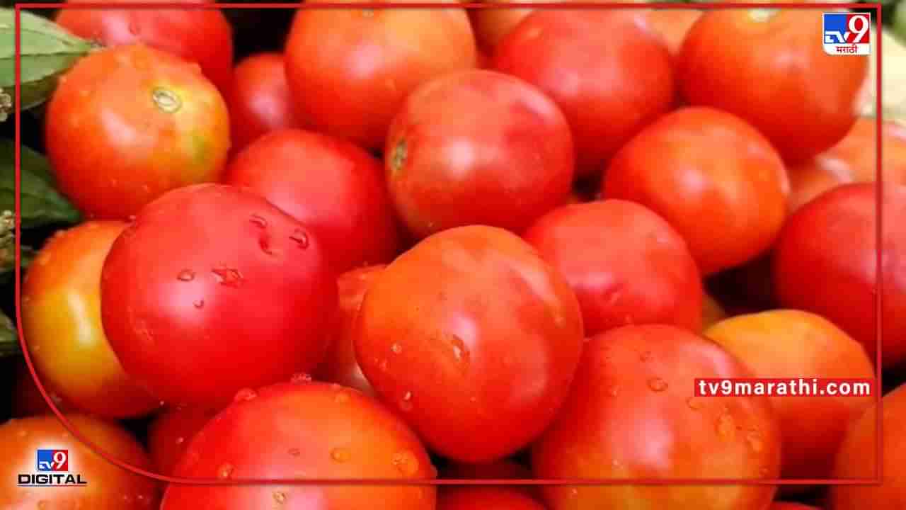 Vegetable : टोमॅटोचा तोरा कायम, नांदेडात शंभरीपार, वाढत्या दरावर परिणाम कशाचा?