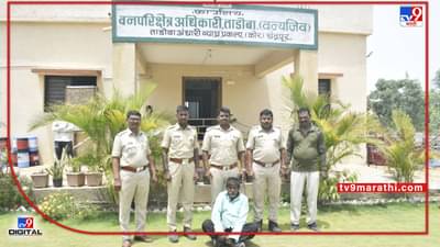 Chandrapur Fire | चंद्रपुरातील संरक्षित जंगलात आग, 24 हेक्टर जंगल जळाले, आग लावणाऱ्या आरोपीस बेड्या