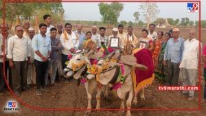 Amravati: काळ्या आईची सेवा अन् शेती बांधावरच मिळाला पुरस्कार, अमरावतीच्या शेतकऱ्याचे वेगळेपण काय?