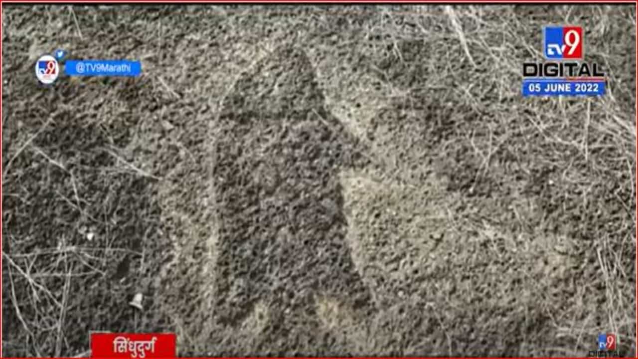 मालवणच्या खोटलेमध्ये आढळली 35 हून अधिक कातळशिल्प