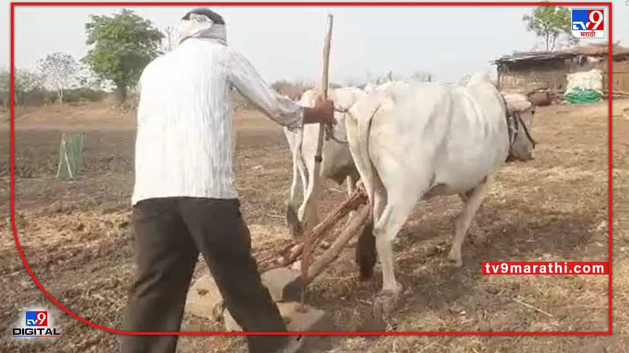 Kharif Season : उत्पादन वाढीसाठी कायपण..! खत, बियाणेही बांधावर, कृषी विभागाचे नियोजन काय?