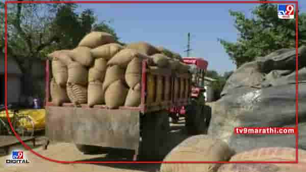 Gondia Paddy | गोंदियात धान खरेदी अडकली, 57 हजार शेतकऱ्यांची भटकंती, 44 केंद्र सुरू मात्र खरेदी बंद