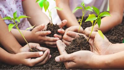 World Environment Day 2022: हिंदू धर्मात या चार वृक्षांना आहे विशेष महत्व; पर्यावरणाचा समतोल राखण्यातही आहे सिंहाचा वाटा!