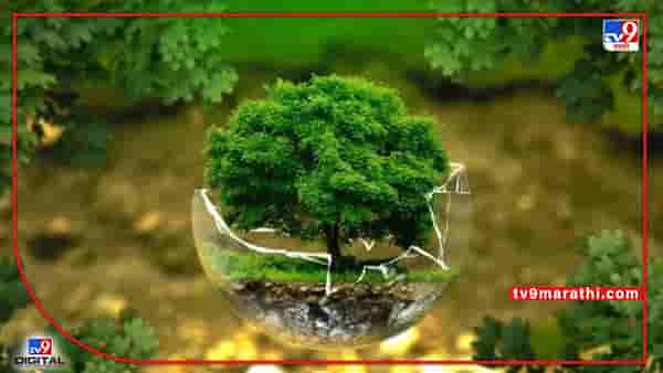 आपल्याकडे फक्त ‘एकच पृथ्वी’... ती वाचविण्यासाठी करा प्रयत्न! पर्यावरण सुरक्षित ठेवण्यासाठी ‘या’ गोष्टी ठेवा लक्षात; जाणून घ्या, जागतिक पर्यावरण दिनाची यंदाची थीम!