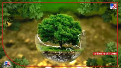 आपल्याकडे फक्त ‘एकच पृथ्वी’... ती वाचविण्यासाठी करा प्रयत्न! पर्यावरण सुरक्षित ठेवण्यासाठी ‘या’ गोष्टी ठेवा लक्षात; जाणून घ्या, जागतिक पर्यावरण दिनाची यंदाची थीम!
