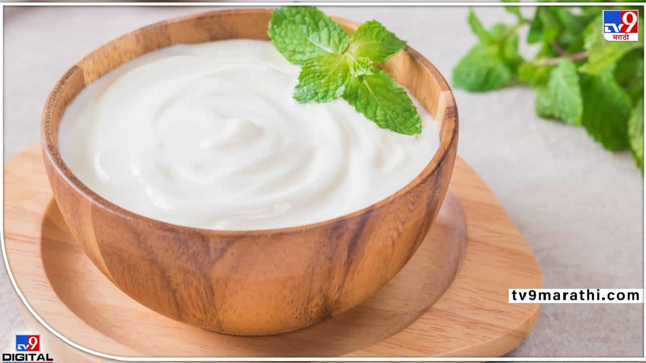 Yogurt: आयुर्वेदानुसार दह्याला हे पदार्थ अजिबात आवडत नाहीत! मग आपण का रिस्क घ्यायची? जाणून घ्या कोणते पदार्थ...
