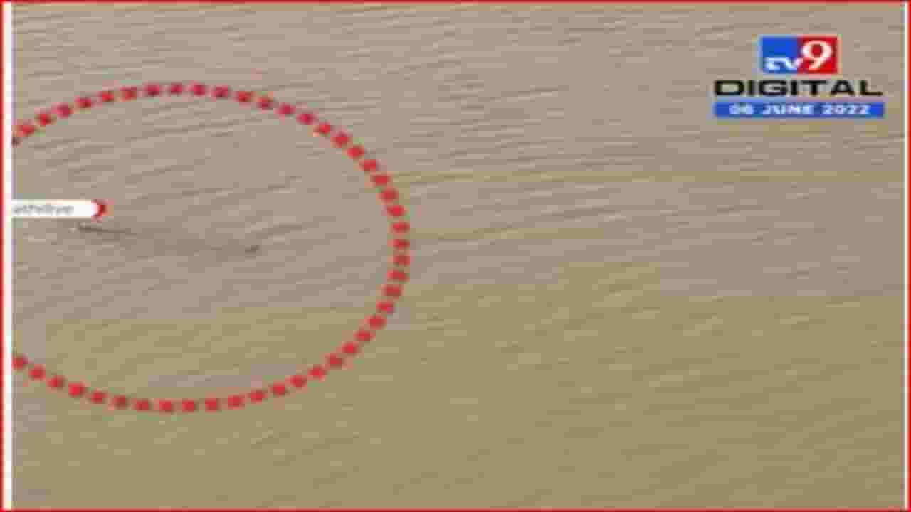 कोल्हापूरच्या पंचगंगा नदीपात्रात मगर कोल्हापूरच्या पंचगंगा नदीपात्रात मगर