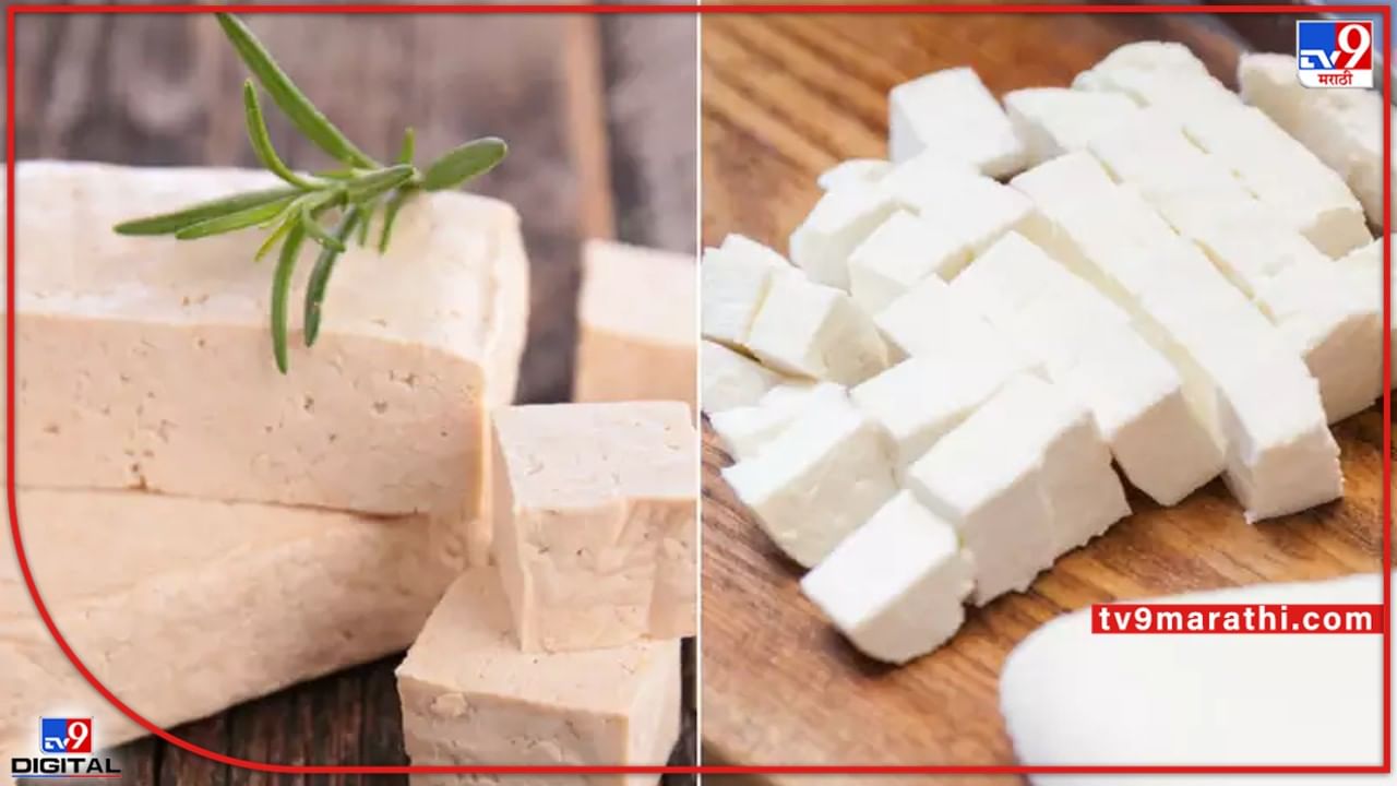 Paneer Vs Tofu: पनीर आणि टोफूमध्ये काय फरक? कोणते अधिक फायदेशीर? जाणून घ्या, त्यातील पोषक घटक