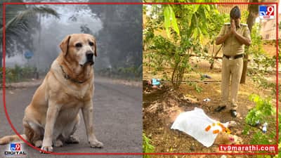 मार्शलला अखेरचा निरोप,आठ वर्षांची सेवा, अवघं पोलीस दल हळहळलं, सांगली शोकाकुल