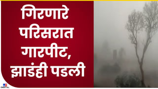 Success Stroy : रासायनिक खताविना जांभळाची बाग, नांदेडच्या डॉक्टराने माळरानावर घेतले लाखोंचे उत्पन्न