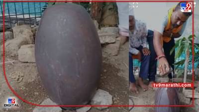 Washim Shivling | वाशिममध्ये विहिरीत सापडले पुरातन शिवलिंग, 300 ते 400 वर्षे जुने असल्याची माहिती; लवकरच प्रतिष्ठापना करण्यात येणार