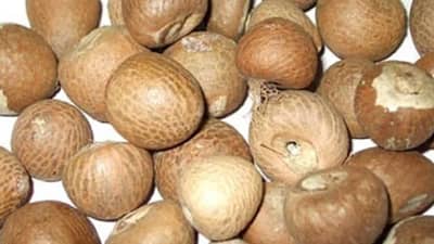 श्रीवर्धनच्या सुपारीने भाव खाल्ला, निसर्ग, तौक्ते वादळामुळे उत्पादन घटले, प्रती मण 7520 रुपये