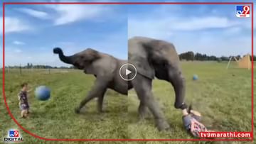 Video : चिमुकला हत्तीसोबत फुटबॉल खेळायला गेला, पण त्याने फरफटत नेलं, काळजाचा ठोका चुकवणारा 7 सेकंदाचा व्हीडिओ...