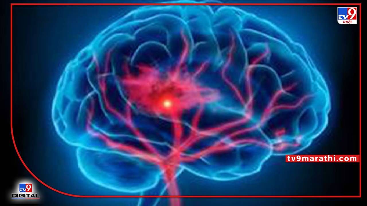 वर्ल्ड ब्रेन ट्यूमर डे 2022: हे पदार्थ मेंदूची कार्यक्षमता वाढवतात, ते खाल्ल्याने तुमचा मेंदू राहतो अगदी तंदुरुस्त!