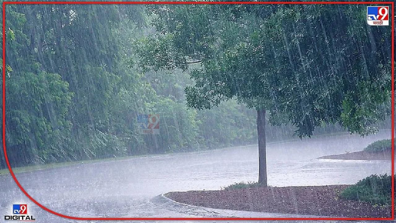 Pre Monsoon rain : पुण्यात हलक्या ते मध्यम स्वरुपाचा पाऊस पडणार; हवामान विभागानं काय अंदाज वर्तवला? वाचा सविस्तर...