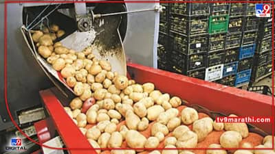 Agricultural : अन्न-प्रकिया उद्योगामध्ये तरुणांना संधा, कृषी विभागाच्या योजनेचा असा घ्या लाभ