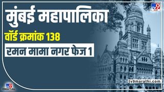 Rajya Sabha Election : मनसे आमदाराचं मत राज्यसभा आणि विधान परिषदेसाठी भाजपलाच, राज ठाकरेंच्या भेटीनंतर आशिष शेलारांचा दावा