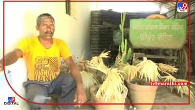 Gondia Gardens | कोट्यवधी निधी खर्च करून उद्यान तयार, गोंदियात पाणी न मिळाल्याने झाड करपली, सामाजिक वनीकरण विभाग करतंय काय?