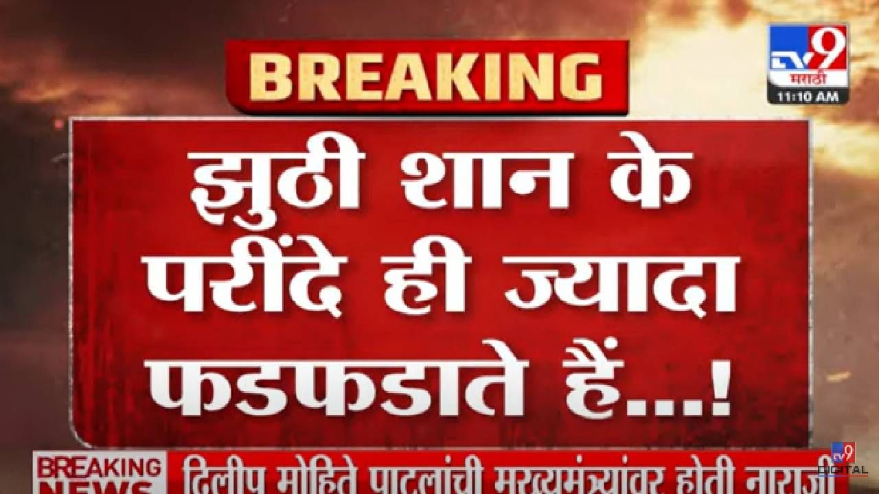 Sanjay Raut : संजय राऊतांचं पुन्हा एकदा भाजपवर टीकास्त्र, ट्विटच्या माध्यमातून पुन्हा डिवचलं