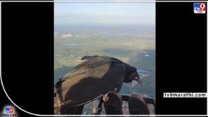 Viral Video: एक दिवस  माणसाला आकाशात फिरताना अचानक गिधाड भेटलं...कसं वाटतंय वाचून? व्हिडीओ तर अजून मस्तंय बघा...