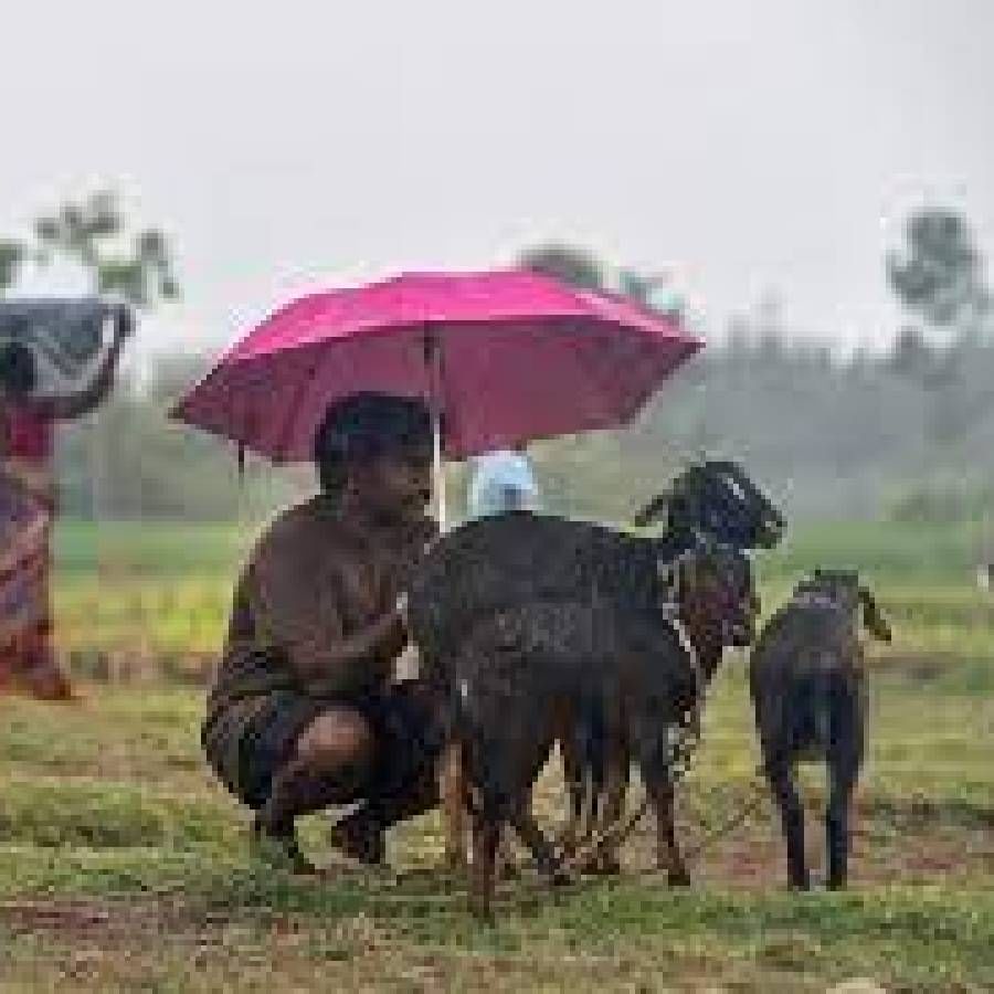  छत्री विकत घेताना चांगली क्वालिटी आणि टिकाऊपणा या दोन गोष्टी लक्षात घेऊनच छत्री निवडा. बाजारात असलेल्या स्वस्त दरातील, मात्र टिकाऊ नसलेली छत्री विकत घेऊ नका. प्लास्टिकच्या तारा असलेली छत्री विकत घेऊ नका.