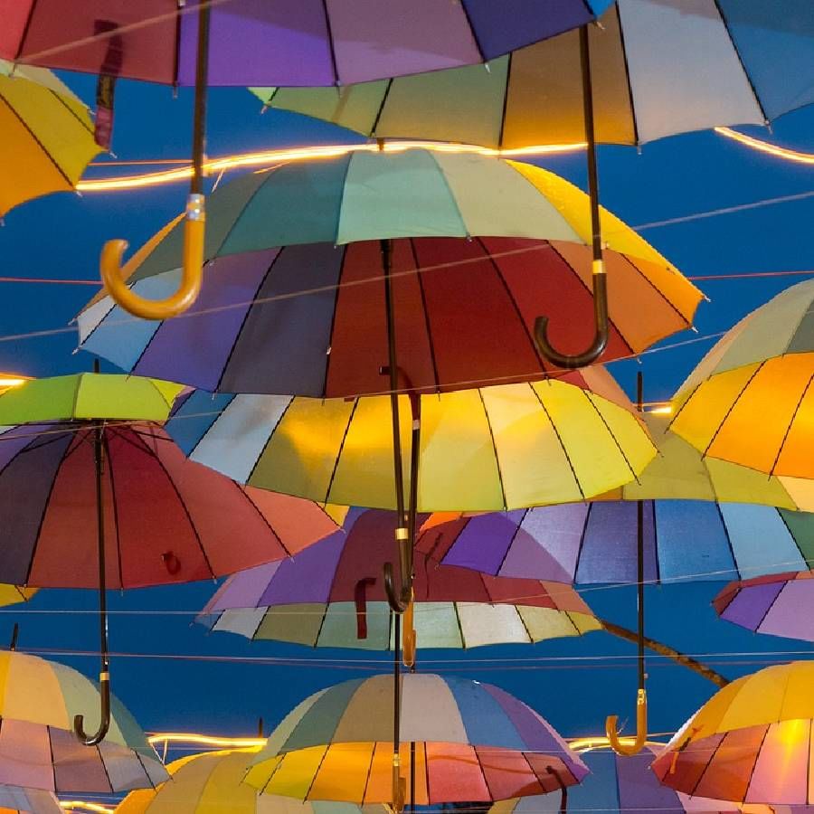 दरवर्षी मार्केटमध्ये कलरफुल छत्र्या मिळतात. पण कलर आणि फॅशनच्या छत्र्या खरेदी करताना त्यांच्या क्विलिटी पण चेक करूनच छत्र्या खरेदी करा. 