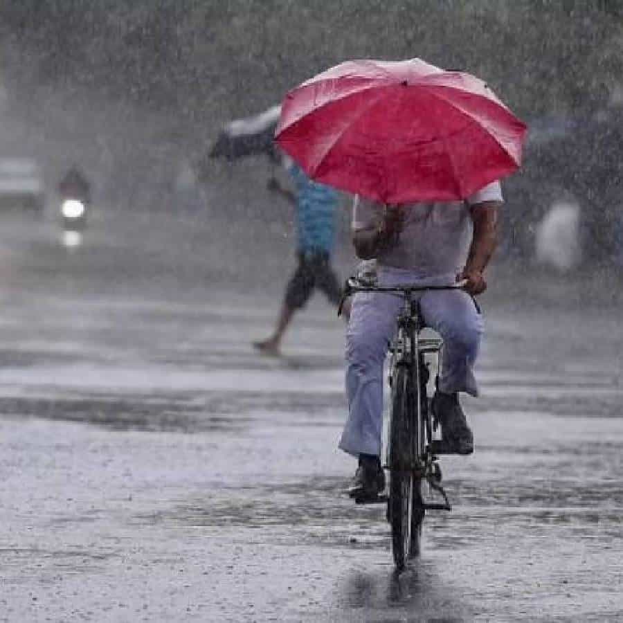 पावसाळा म्हटलं की सगळ्यात पहिलं आठवते ती छत्री.