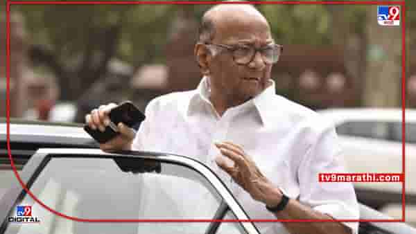 Maharashtra Rajya Sabha Election Results 2022 : राज्यसभेच्या निकालाने धक्का बसला नाही, शरद पवार यांची निकालावर पहिली प्रतिक्रिया