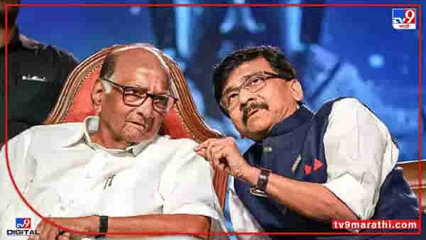 Rajyasabha Eelction : कुठे दगाफटका झाला? संजय राऊतांनी केली शरद पवारांशी चर्चा , आता विधानपरिषदेसाठी सावध
