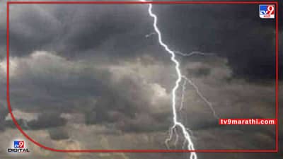 Monsoon Update : मराठवाड्यात वीज पडून पाच जणांची जीव गमावला! राज्यात मुसळधार पावसाची शक्यता