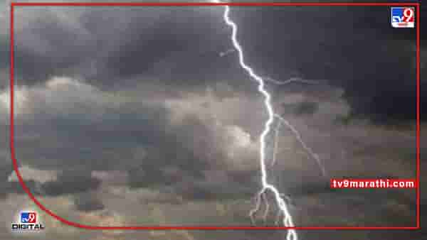Monsoon Update : मराठवाड्यात वीज पडून पाच जणांची जीव गमावला! राज्यात मुसळधार पावसाची शक्यता
