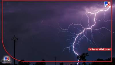 Mobile App : भर पावसामध्ये शेतीकामाची लगबग, पण वीजांपासून कसं करणार संरक्षण? दामिनी अॅपद्वारे जाणून घ्या वीजेचा अंदाज