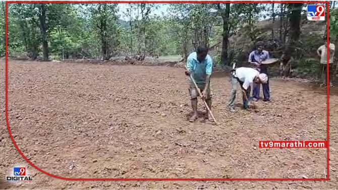 Agricultural Department : शेतकऱ्यांनी शेत सोडले अन् कृषी विभागाने त्याचे नंदनवन केले, रायगड कृषी विभागाचा प्रेरणादायी उपक्रम