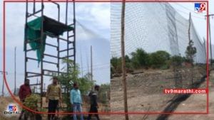 Chandrapur Wildlife | दुर्गापुरात वन्यजीव संरक्षणासाठी जाळी बांधकाम, सौर दिव्यांसह 15 फूट उंच 1.25 किलोमीटरची जाळी, वाघाच्या दहशतीवर लगाम लागणार?