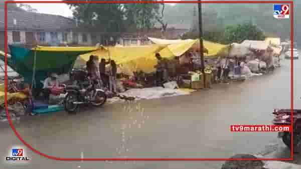 Rain : दुष्काळात तेरावा, अधिकचा दर असलेला भाजीपालाही पाण्यात