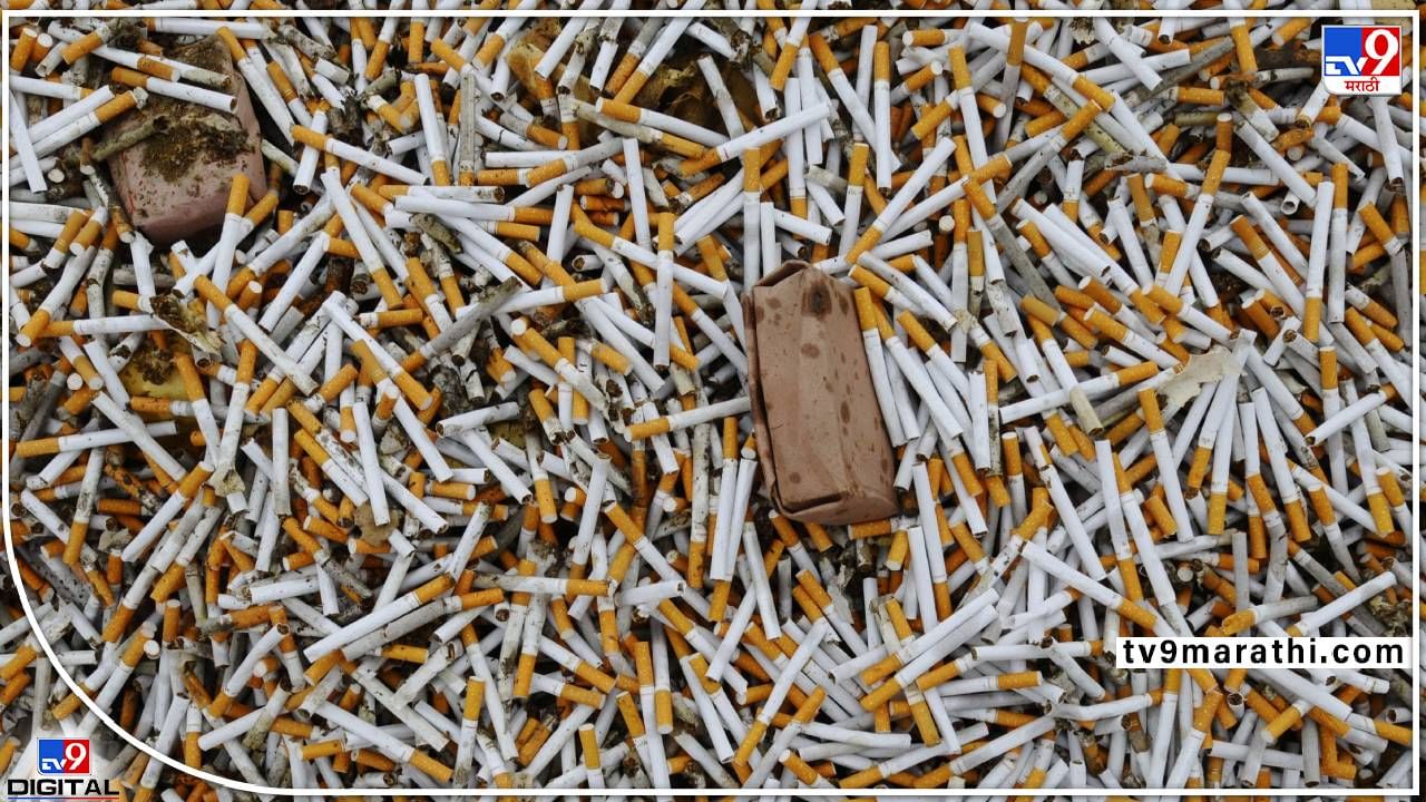 Viral: सिगारेटच्या पॅकेजवर प्रयोग करून कॅनडा करतंय निस्ता धूर! नवीन आयडिया, जगभर चर्चा...