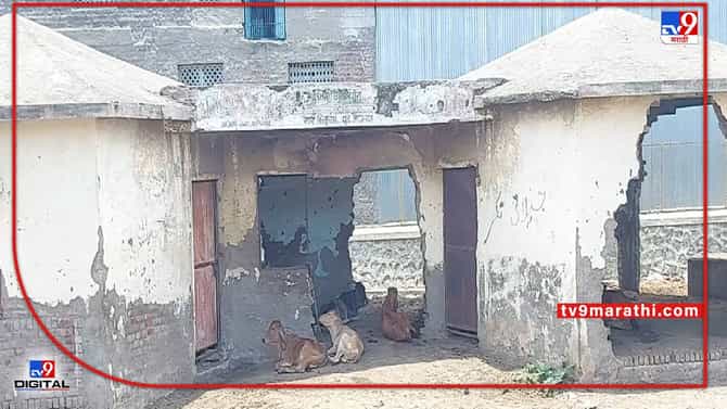गोठा वाटतोय की काय? याला शाळा म्हणायचं!! इथं उंट, गाई, म्हशी, डबकं सगळंच दिसेल... मालेगाव मनपानं किती छान काळजी घेतलीय पहा...