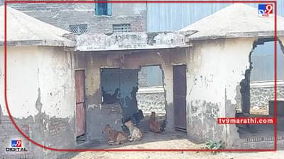 गोठा वाटतोय की काय? याला शाळा म्हणायचं!! इथं उंट, गाई, म्हशी, डबकं सगळंच दिसेल... मालेगाव मनपानं किती छान काळजी घेतलीय पहा...