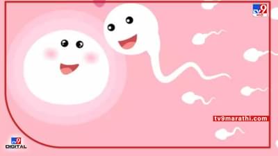 fertility | मुल न होण्यास पुरुषही तितकेच जबाबदार, वाईट सवयी-व्यसनाधीनतेमुळे ‘स्पर्म काऊंट’ कमी; ‘या’ कारणामुंळे प्रजनन क्षमतेवर गंभीर परिणाम!