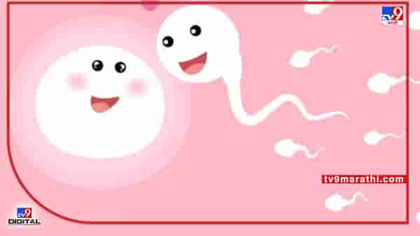 fertility | मुल न होण्यास पुरुषही तितकेच जबाबदार, वाईट सवयी-व्यसनाधीनतेमुळे ‘स्पर्म काऊंट’ कमी; ‘या’ कारणामुंळे प्रजनन क्षमतेवर गंभीर परिणाम!