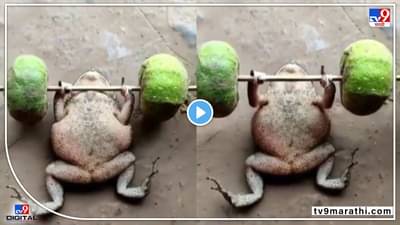 Viral On Instagram: त्यादिवशी बेडकाने ठरवलं, बॉडी बनवायची आणि तिला दाखवून द्यायचं!