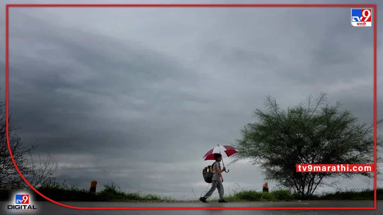 दान पावलं, रान भिजलं; निम्म्या राज्यात पाऊसधारा