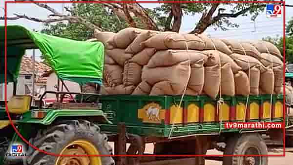 Paddy Crop : उन्हाळी हंगामात धान पिकाचे उत्पादन दणक्यात तरीही भंडाऱ्यातील शेतकरी चिंतेत, नेमकी काय आहेत कारणे?