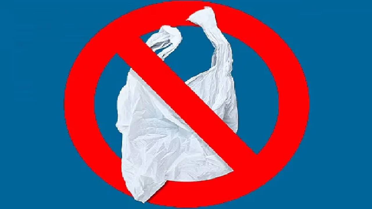 Plastic Ban : पुण्यात प्लास्टिक पिशव्या बंदीवरील कारवाई तीव्र; 9 लाख 70 हजारांचा दंड वसूल