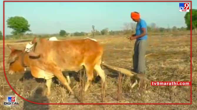Marathwada : पाऊस नेमका गेला कुठे..? मराठवाड्यात मान्सूनपूर्व पावसाचीही हुलकावणी